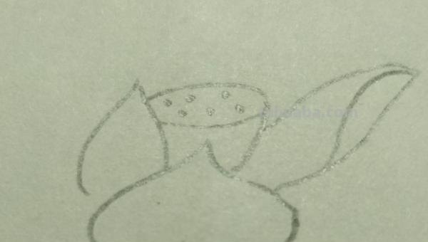 用彩铅怎么画荷塘 用彩铅画荷花怎么涂？