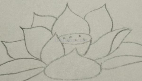 用彩铅怎么画荷塘 用彩铅画荷花怎么涂？