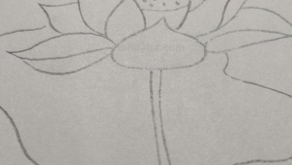 用彩铅怎么画荷塘 用彩铅画荷花怎么涂？