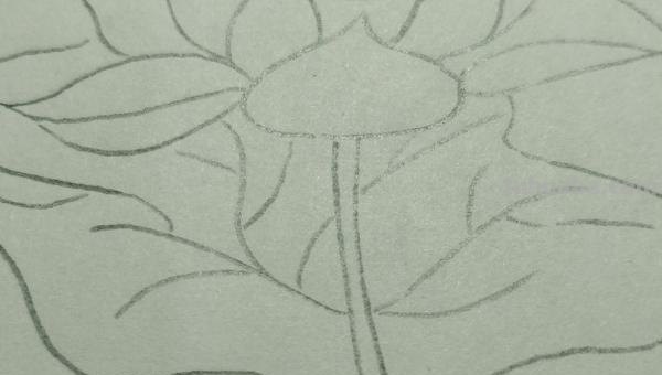 用彩铅怎么画荷塘 用彩铅画荷花怎么涂？