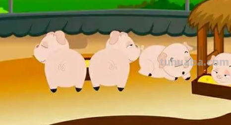 小猪吃得饱饱的儿歌