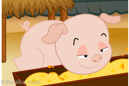 小猪吃的饱饱歌曲是什么?