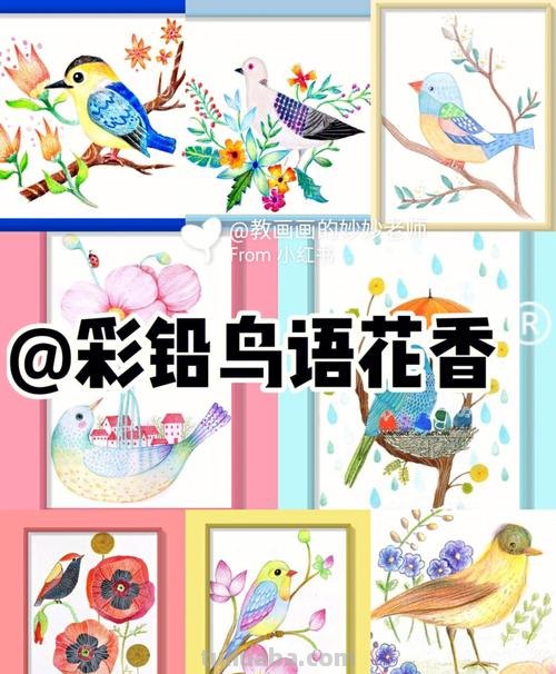 花草怎么画彩铅色 鸟语花香彩铅绘画步骤?