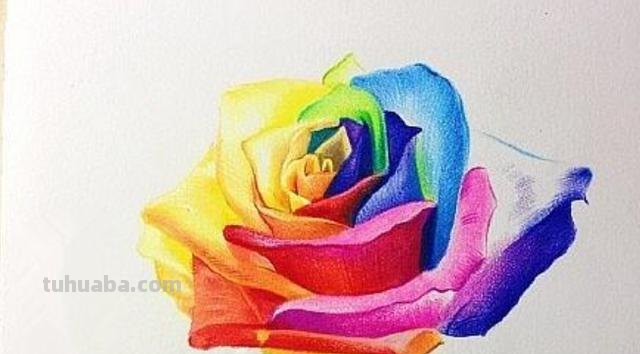 花草怎么画彩铅色 鸟语花香彩铅绘画步骤? 花草怎么画彩铅色 鸟语花香彩铅绘画步骤?