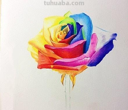 花草怎么画彩铅色 鸟语花香彩铅绘画步骤? 花草怎么画彩铅色 鸟语花香彩铅绘画步骤?