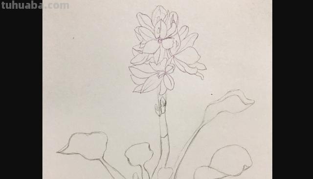 茉莉怎么画彩铅的 三年级小孩画的茉莉花? 茉莉怎么画彩铅的 三年级小孩画的茉莉花?