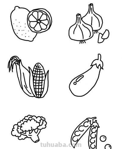 简笔画水果画法一组