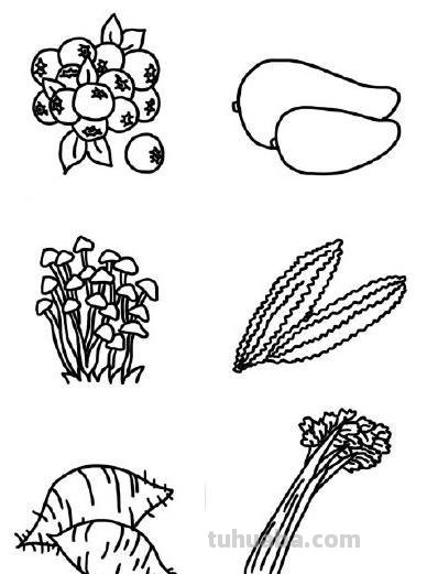 简笔画水果画法一组