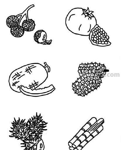 简笔画水果画法一组