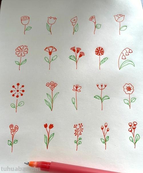 简单好看的花儿简笔画 手抄报贺卡手账不用愁
