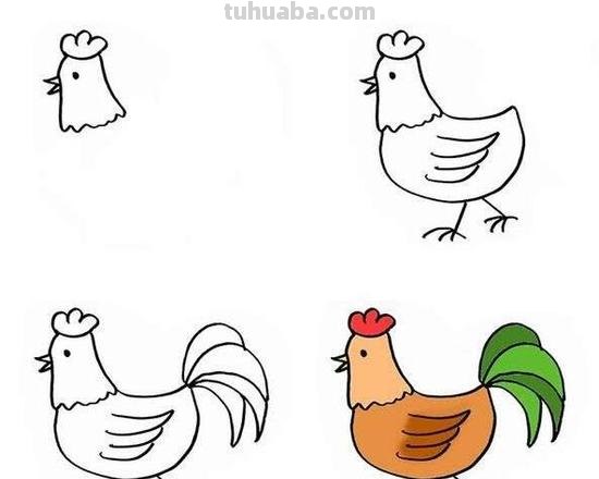 少儿简笔画 大公鸡鸡妈妈 鸡的不同画法