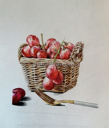 彩铅画怎么确定专业 彩铅画属于大学的什么专业类别?