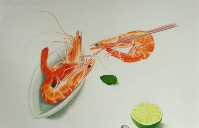 用彩铅怎么画虾仁 单色系彩铅漫画简单？