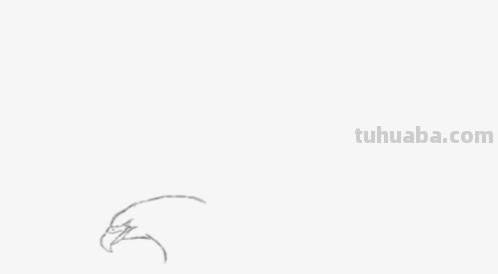 老鹰怎么画简笔画 铅笔画老鹰是怎么画的? 老鹰怎么画简笔画 铅笔画老鹰是怎么画的?