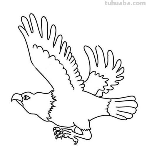 老鹰怎么画简笔画 铅笔画老鹰是怎么画的?