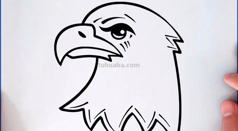 老鹰怎么画简笔画 铅笔画老鹰是怎么画的?