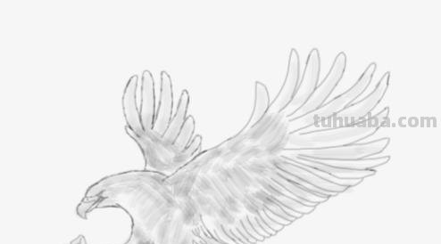 老鹰怎么画简笔画 铅笔画老鹰是怎么画的? 老鹰怎么画简笔画 铅笔画老鹰是怎么画的?