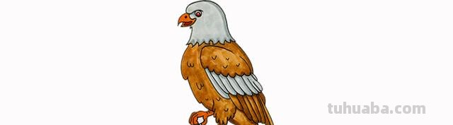老鹰怎么画简笔画 铅笔画老鹰是怎么画的? 老鹰怎么画简笔画 铅笔画老鹰是怎么画的?