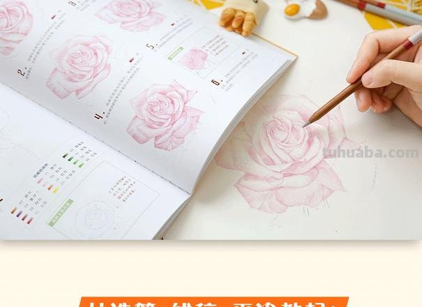 初学彩铅画怎么教材 彩铅画基础入门教程?