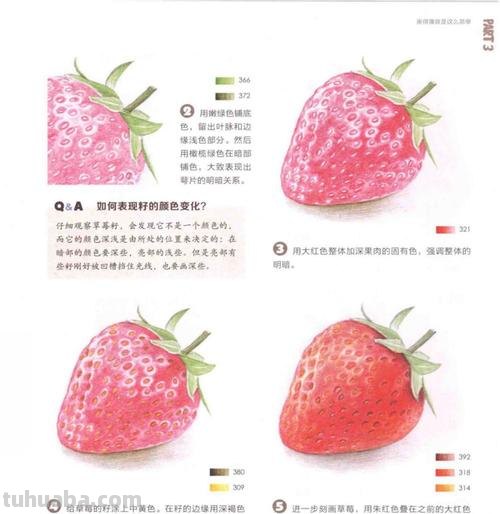 初学彩铅画怎么教材 彩铅画基础入门教程?