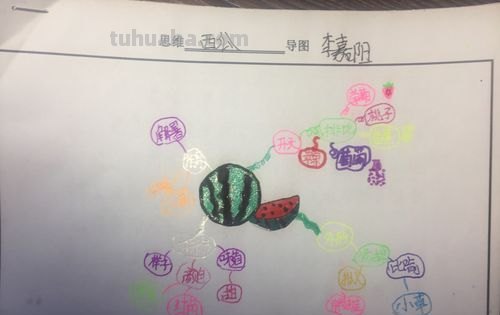 瓜是什么思维导图 瓜是什么意思?