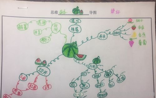 瓜是什么思维导图 瓜是什么意思？