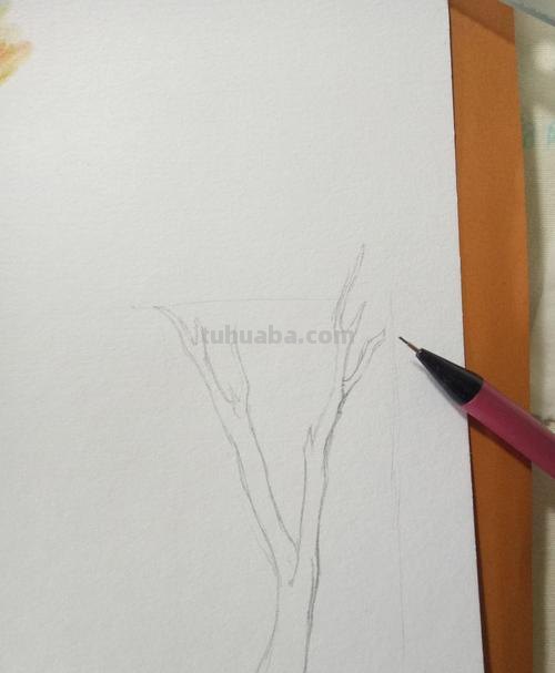 怎么用彩铅画玉树 怎么使用彩铅画树?