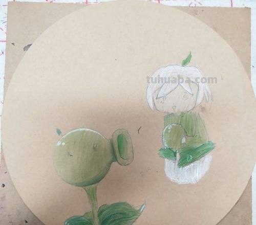 怎么画彩铅豌豆射手 豌豆射手什么时候发射豌豆？