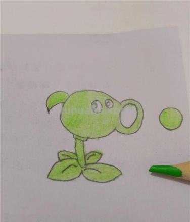 怎么画彩铅豌豆射手 豌豆射手什么时候发射豌豆?