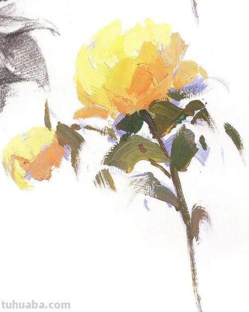 色彩静物花卉图片欣赏：赏心悦目的色彩盛宴 