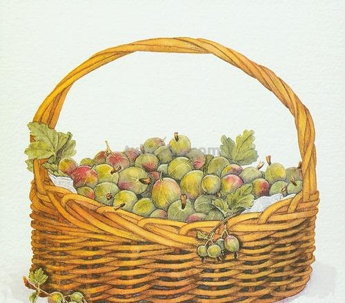 色彩篮子及色彩篮子怎么画