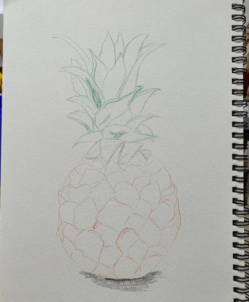 菠萝怎么用彩铅画 儿童画画教程3-6岁画水果菠萝？