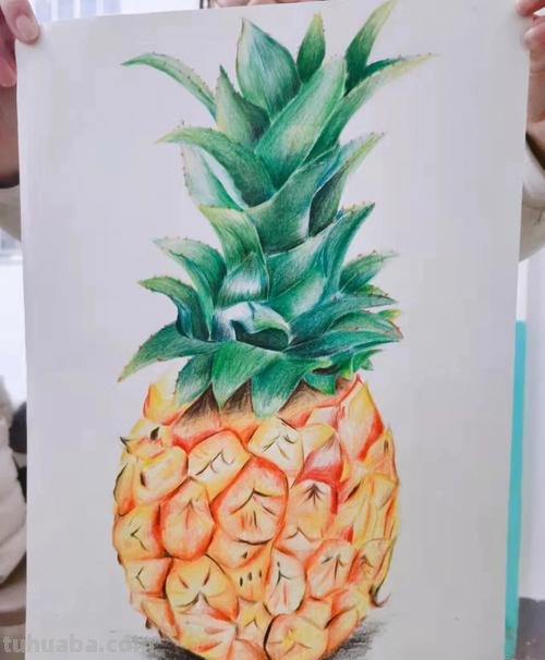 菠萝怎么用彩铅画 儿童画画教程3-6岁画水果菠萝?