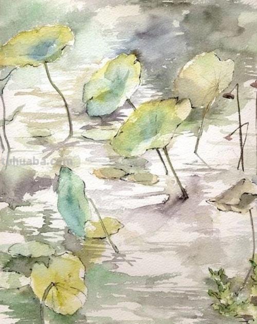 荷叶的色彩及荷叶的色彩画法 