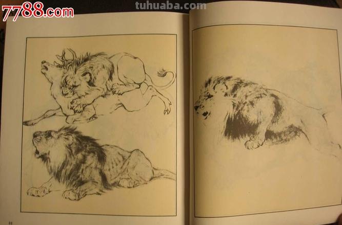 大师刘继卣的珍贵速写作品