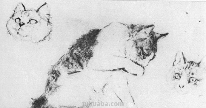 大师刘继卣的珍贵速写作品