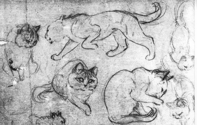 大师刘继卣的珍贵速写作品