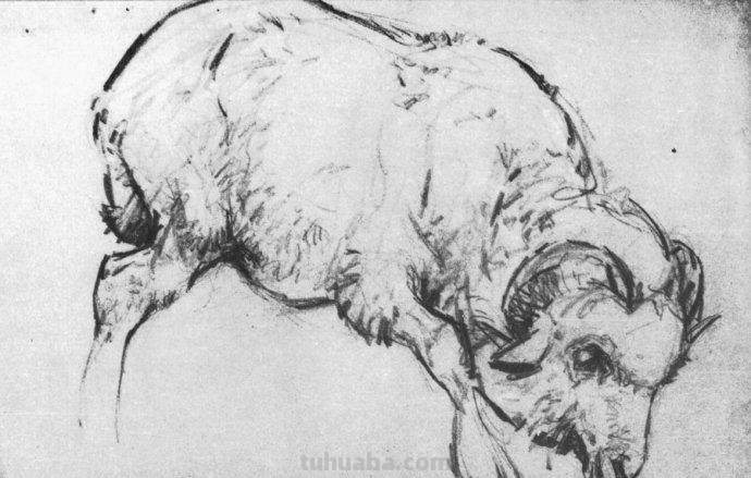 大师刘继卣的珍贵速写作品