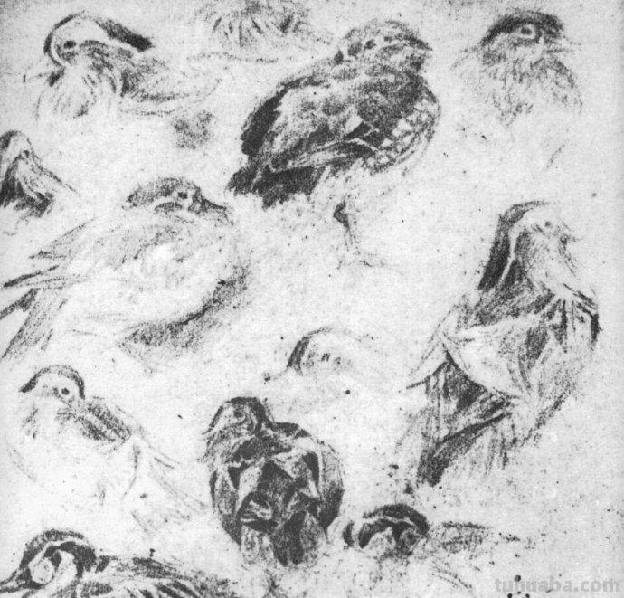 大师刘继卣的珍贵速写作品