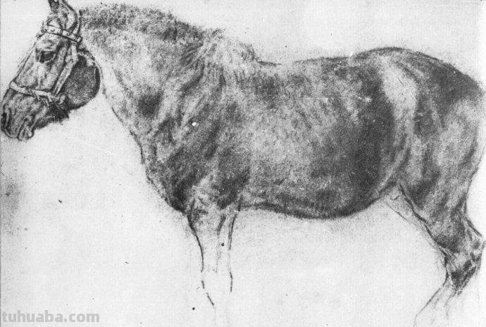 大师刘继卣的珍贵速写作品