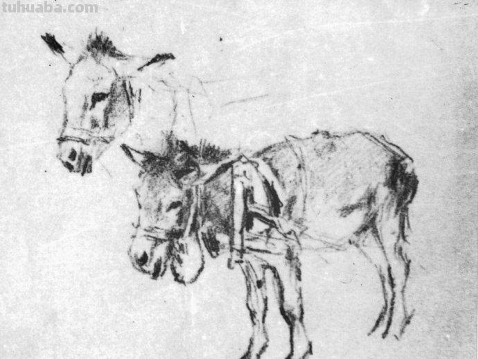 大师刘继卣的珍贵速写作品