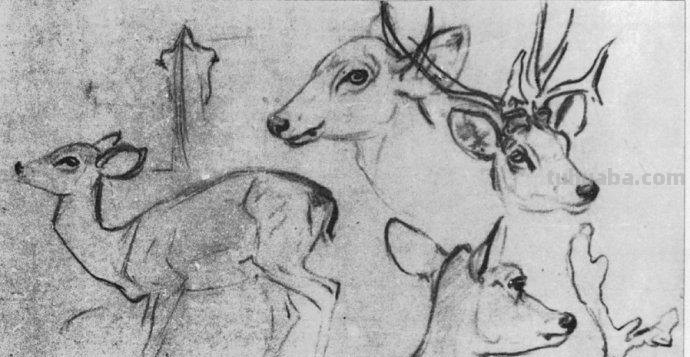 大师刘继卣的珍贵速写作品