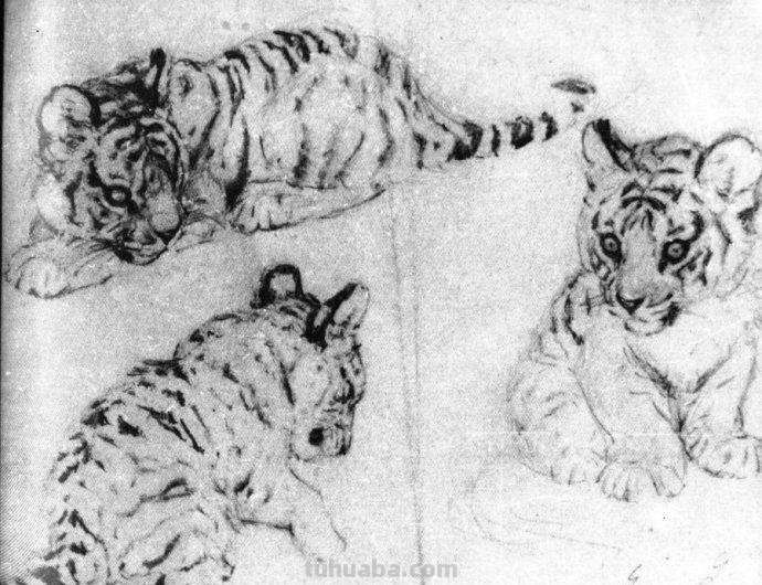 大师刘继卣的珍贵速写作品