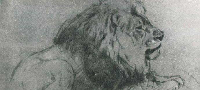 大师刘继卣的珍贵速写作品