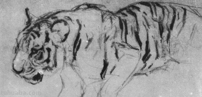 大师刘继卣的珍贵速写作品