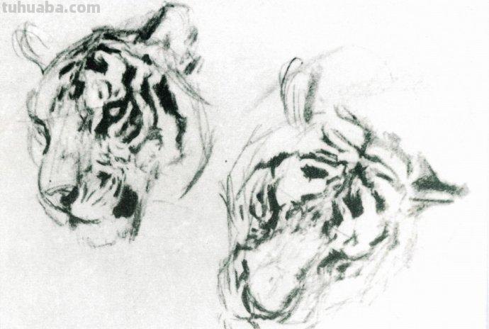 大师刘继卣的珍贵速写作品