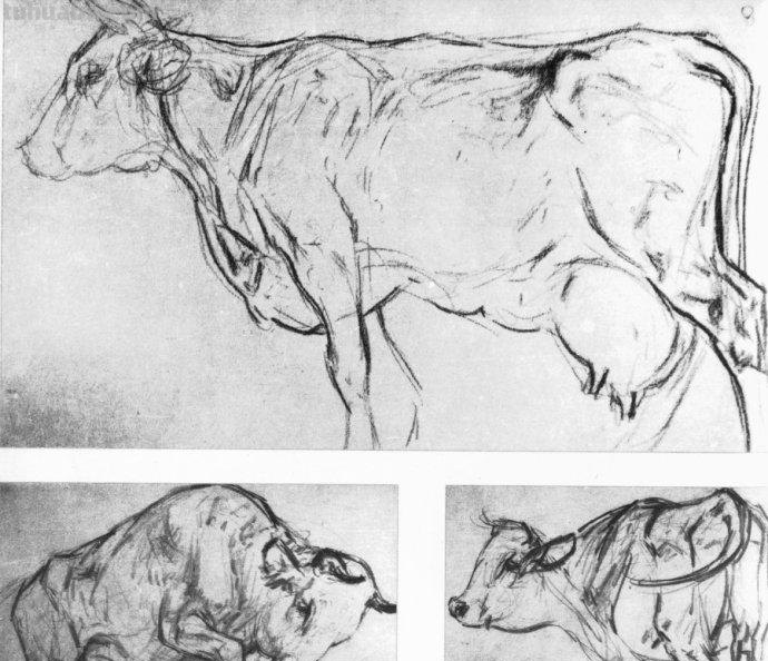 大师刘继卣的珍贵速写作品