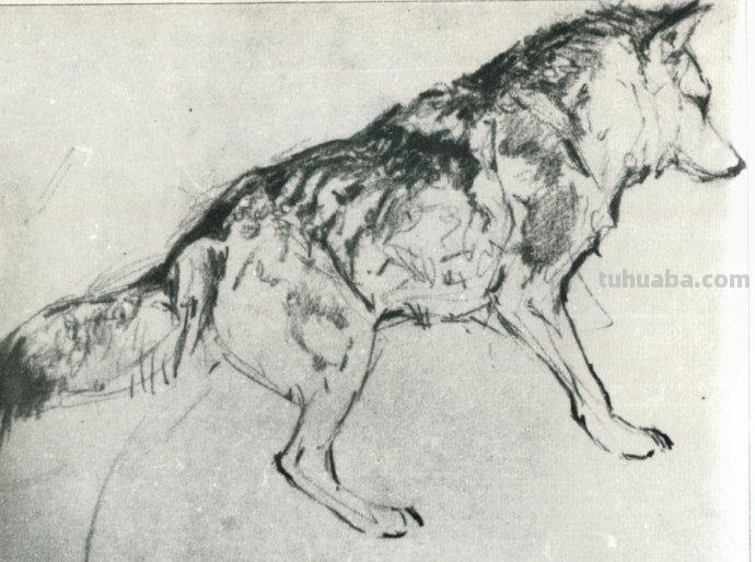 大师刘继卣的珍贵速写作品