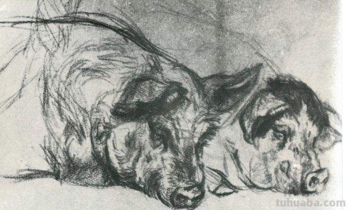 大师刘继卣的珍贵速写作品