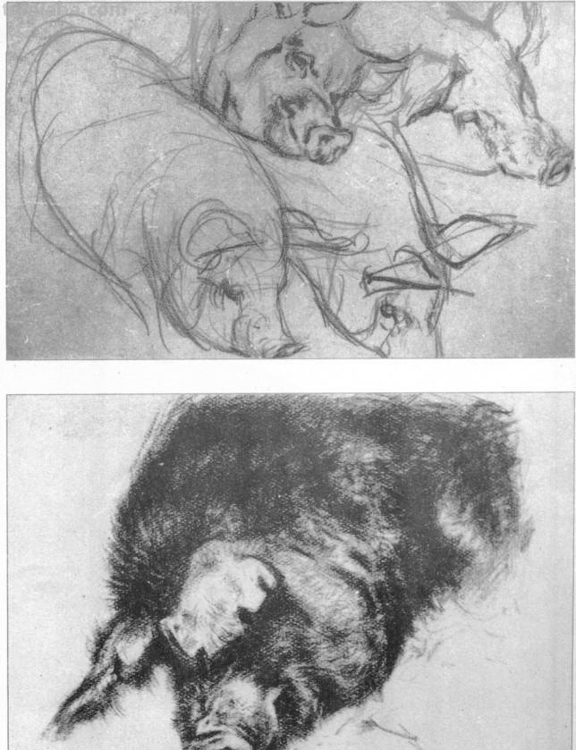 大师刘继卣的珍贵速写作品